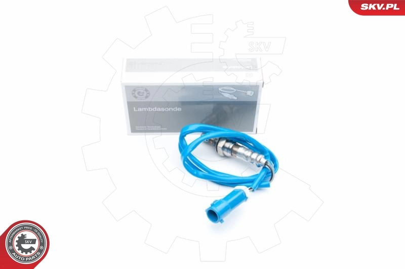 Oxygen Sensor